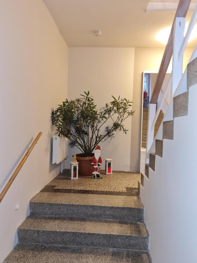 Haus Fernblick Apartment Kurort Baerenburg Luaran gambar